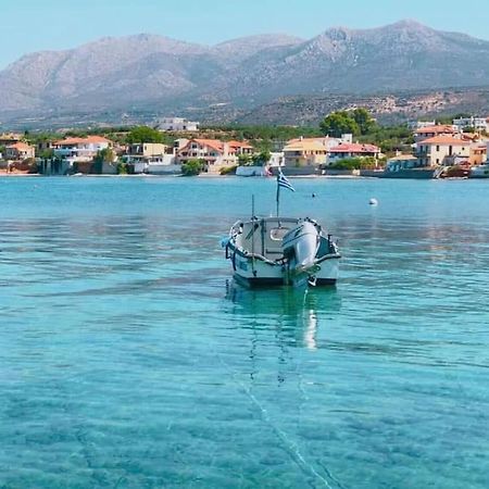 Κατοικία 80 Τ.Μ. Δίπλα Από Την Θάλασσα Στην Ελιά. Elia  Zewnętrze zdjęcie